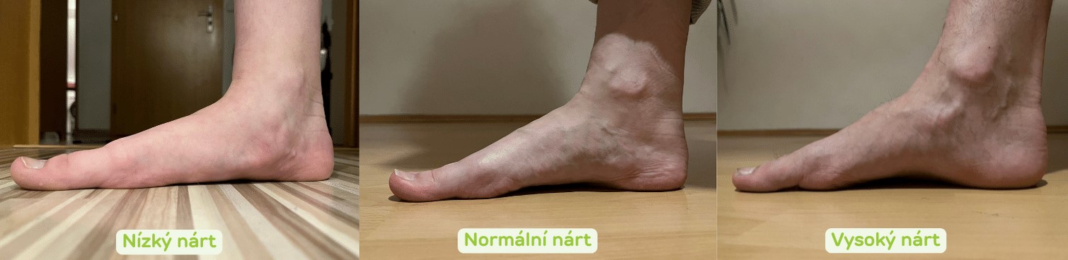 výška nártu